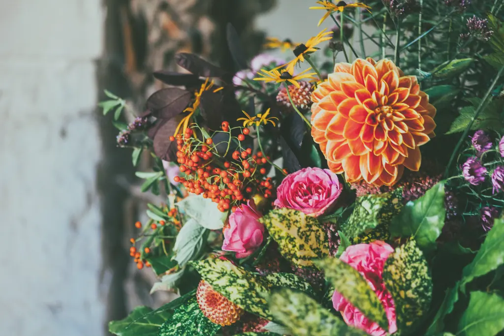 An autumn arrangement: an orange dahlia, rowan berries, pink roses and caladium leaves