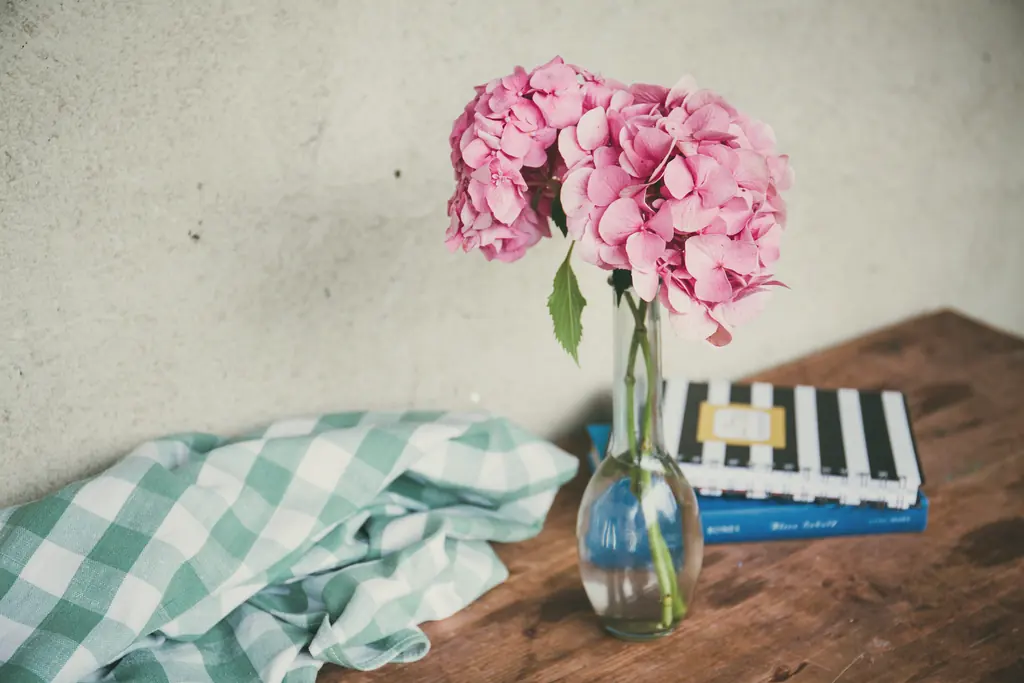 A pink hydrangea in a glass vase on a wooden table