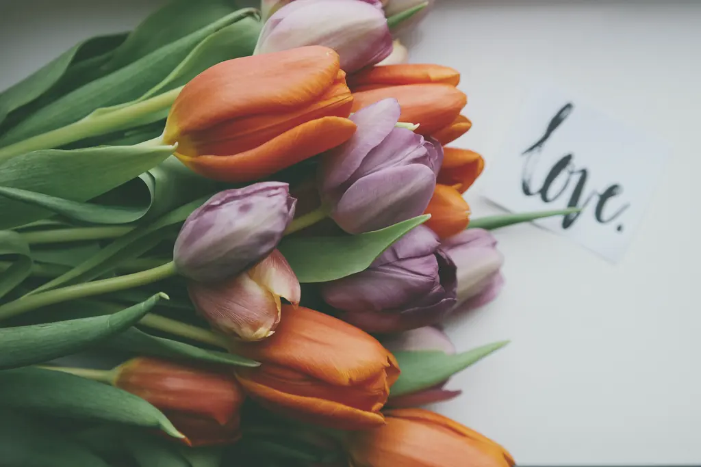 Orange and purple tulips beside a handwritten card