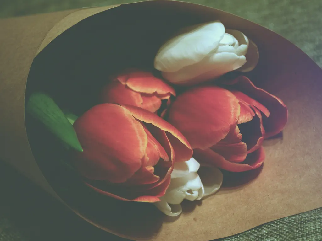 Red and white tulips wrapped in brown kraft paper