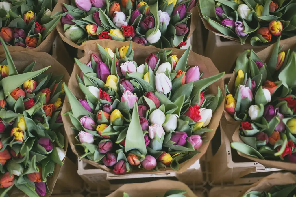 Bunches of tulips wrapped in paper at a flower market