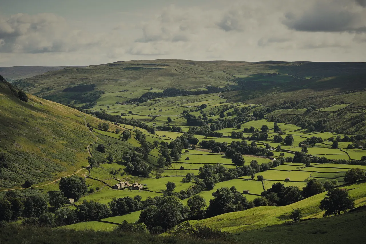 Upper Swaledale from the Pennine Way on Kisdon: walled meadows, field barns and the river below the fells