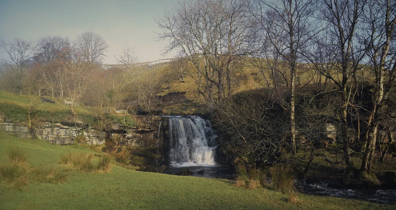Kisdon Force: white water over a limestone step under trees