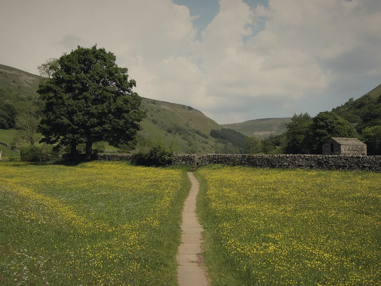 A flagged footpath through a buttercup meadow towards a stone barn