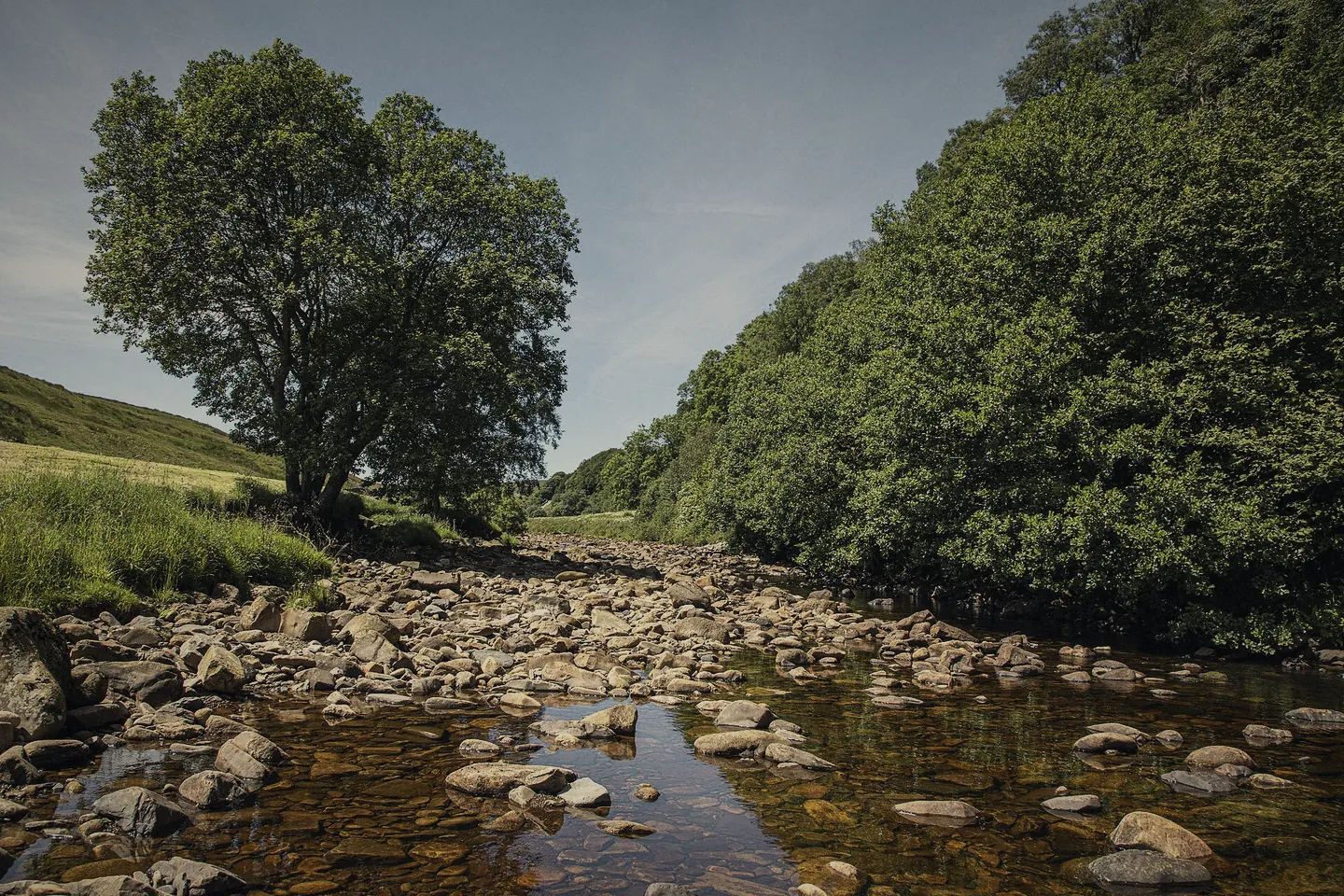 The River Swale running shallow over stones between green banks