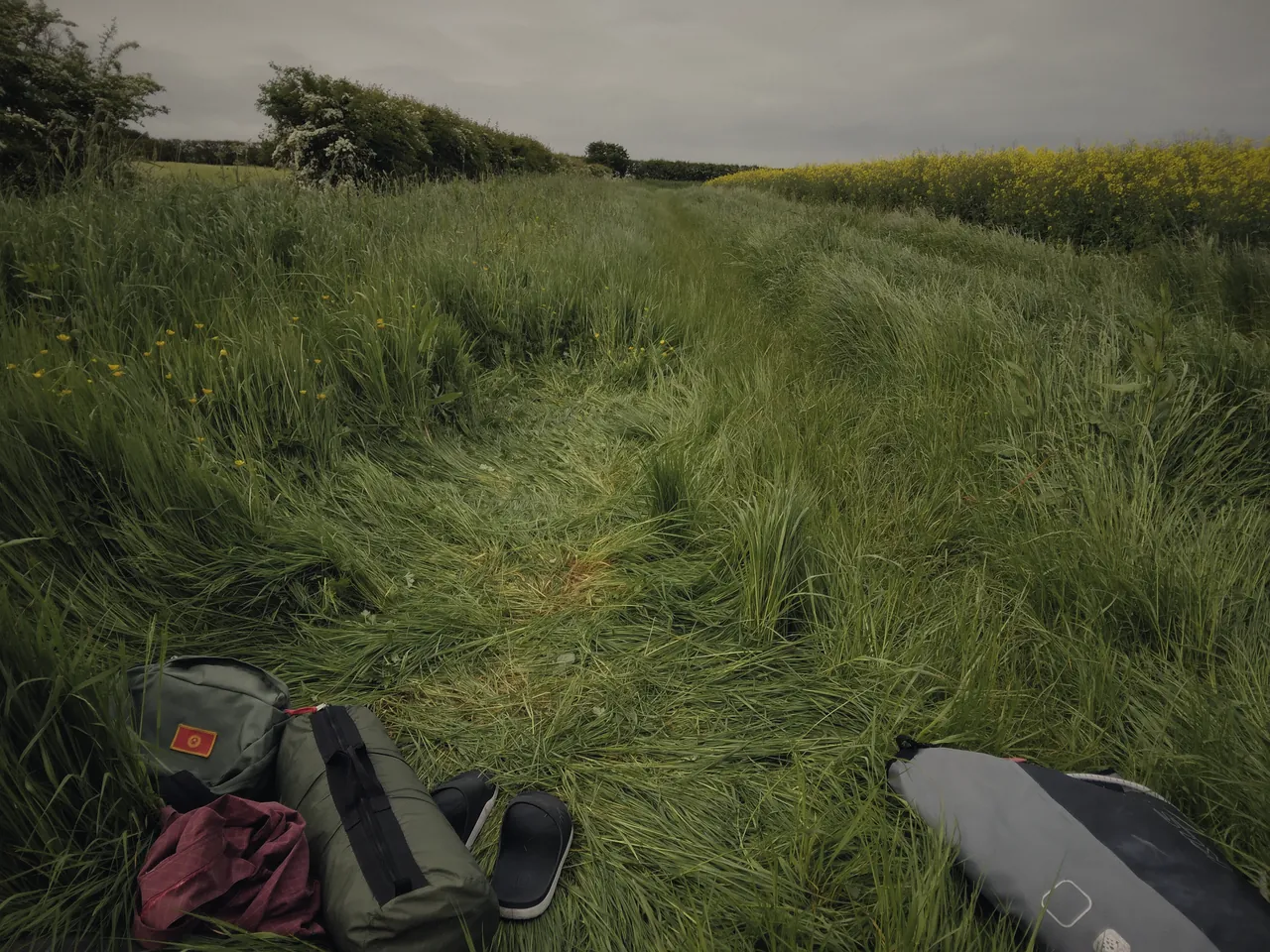 Looking out of a tent door at knee-high grass, a sleeping mat and a rucksack in the porch