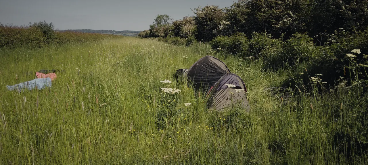 A small tent pitched in knee-high meadow grass with cow parsley and buttercups