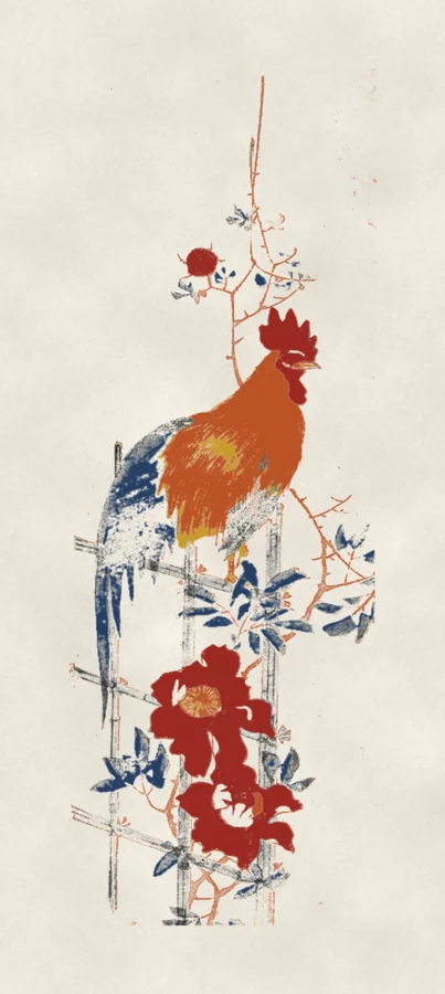 Cockerel and peony, drawing on paper, after Hiroshige, 1854