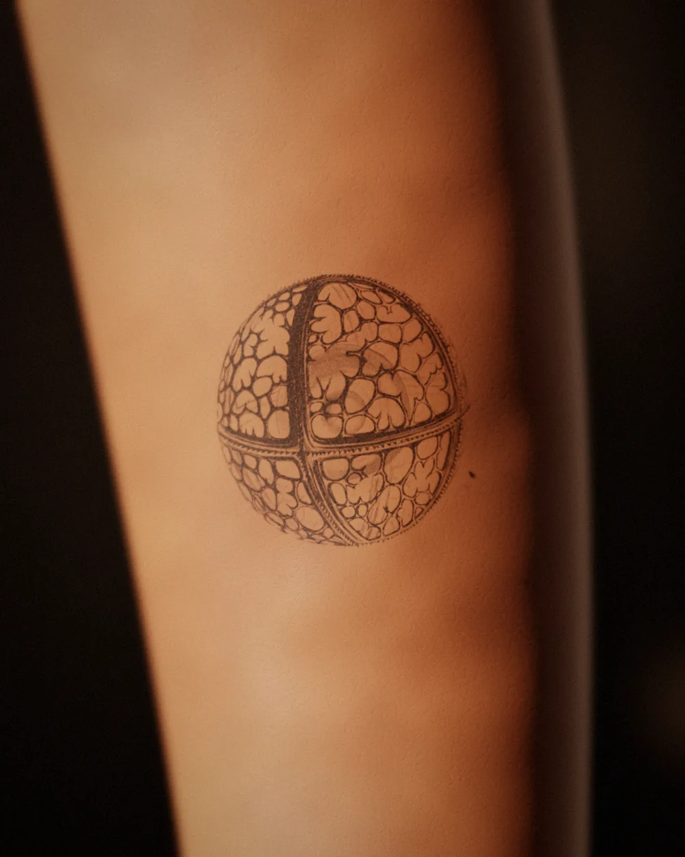 Radiolarian tattoo, after Haeckel, 1904, on the forearm, healed 11 months