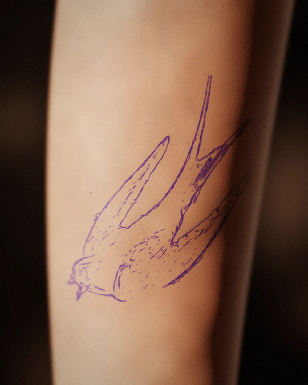 The swallow tattoo on an inner forearm: stencil