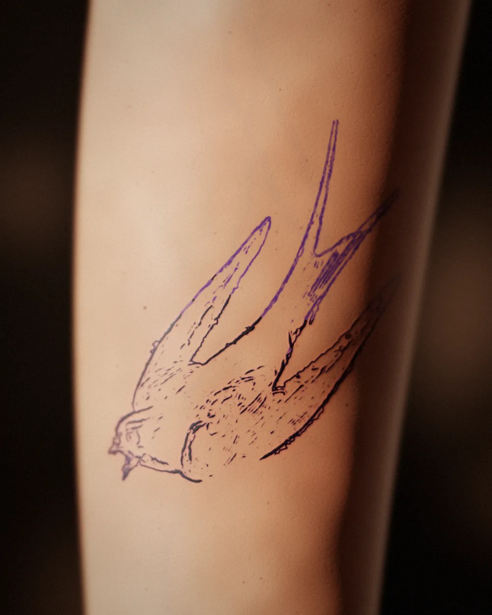 The swallow tattoo on an inner forearm: lining