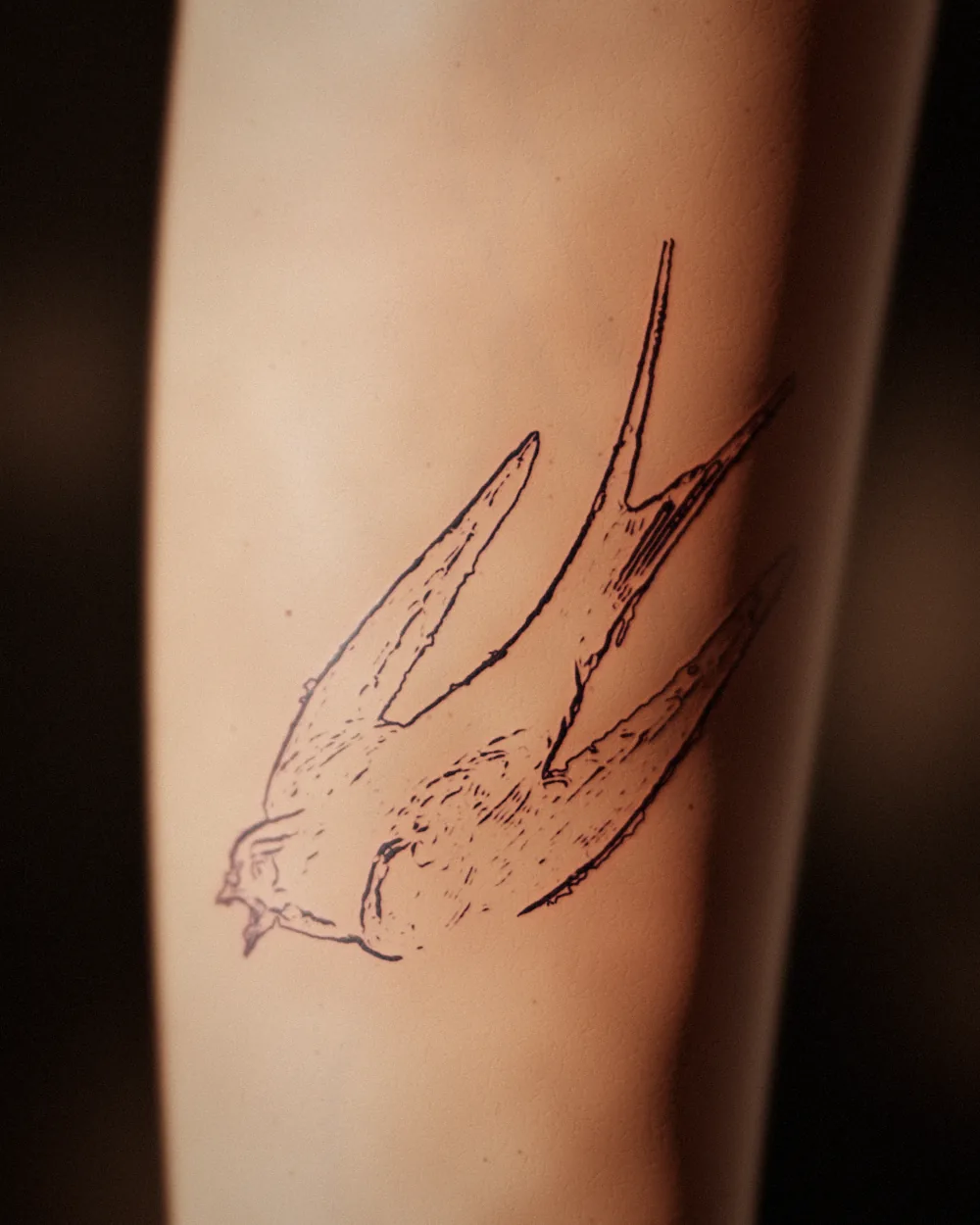 The swallow tattoo on an inner forearm: lined