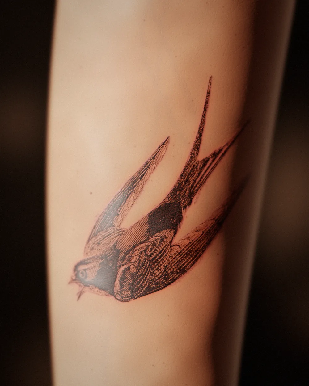 The swallow tattoo on an inner forearm: fresh