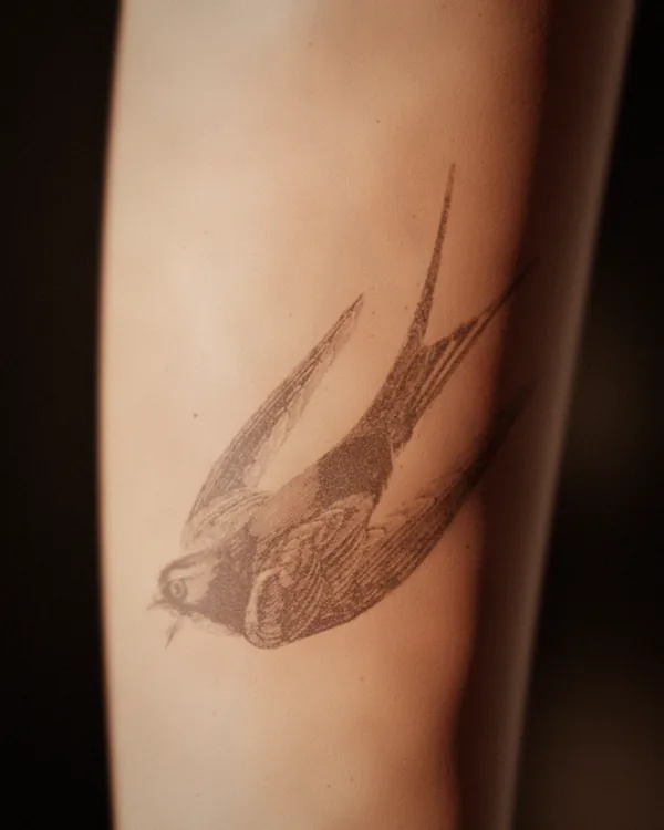 The swallow tattoo at for good