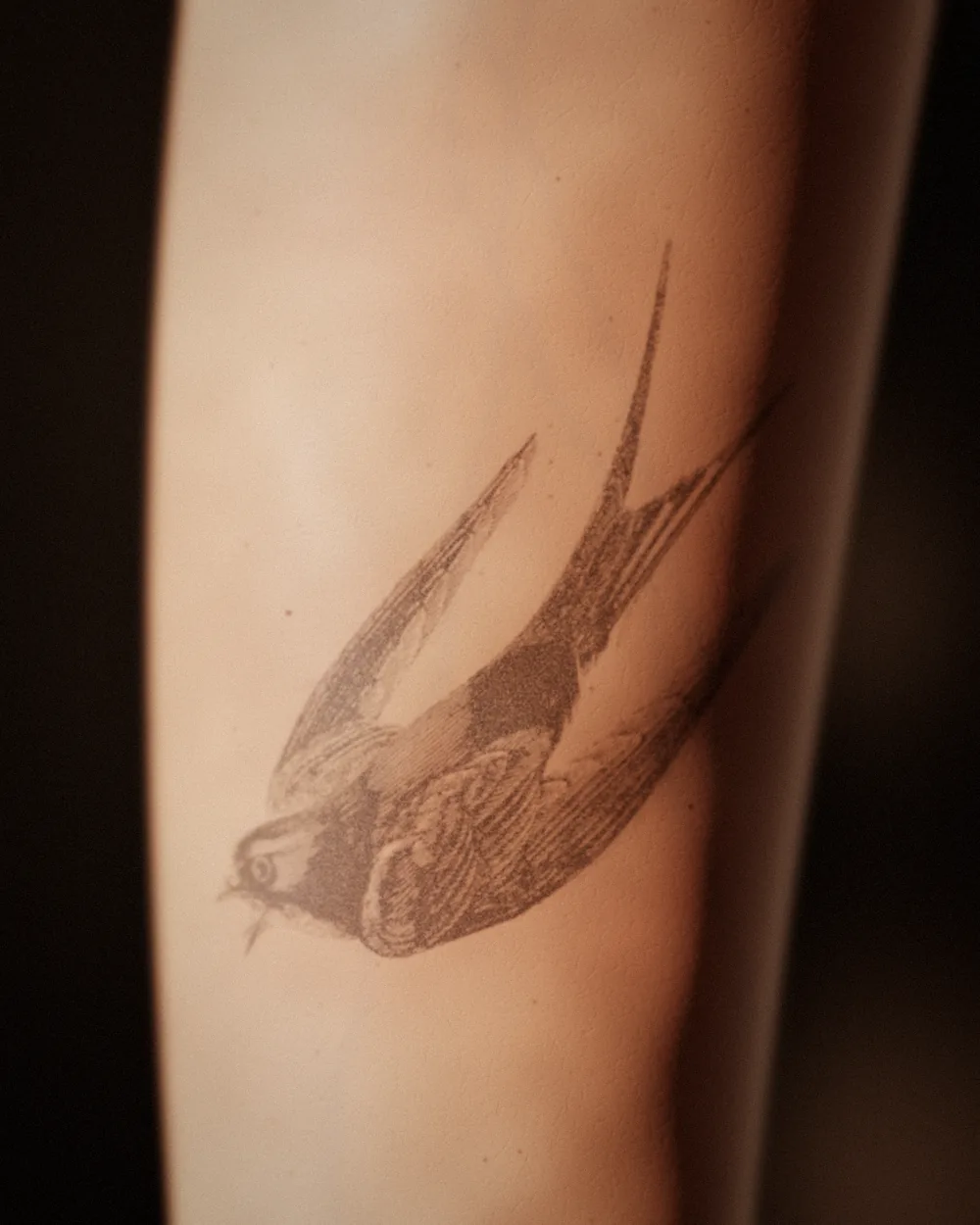 The swallow tattoo on an inner forearm: 10 years