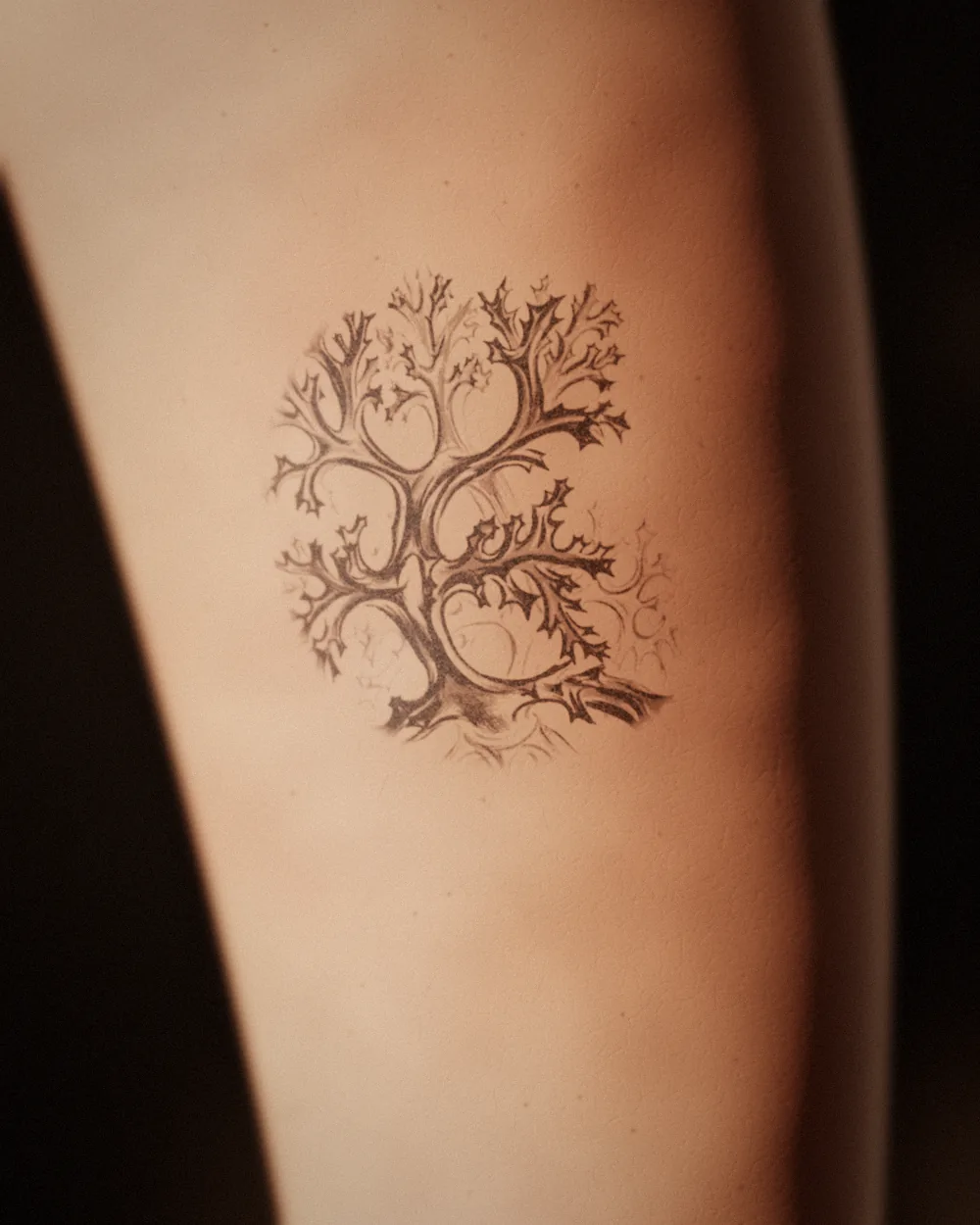 Radiolarian spines tattoo, after Haeckel, 1904, on the calf, healed 11 months