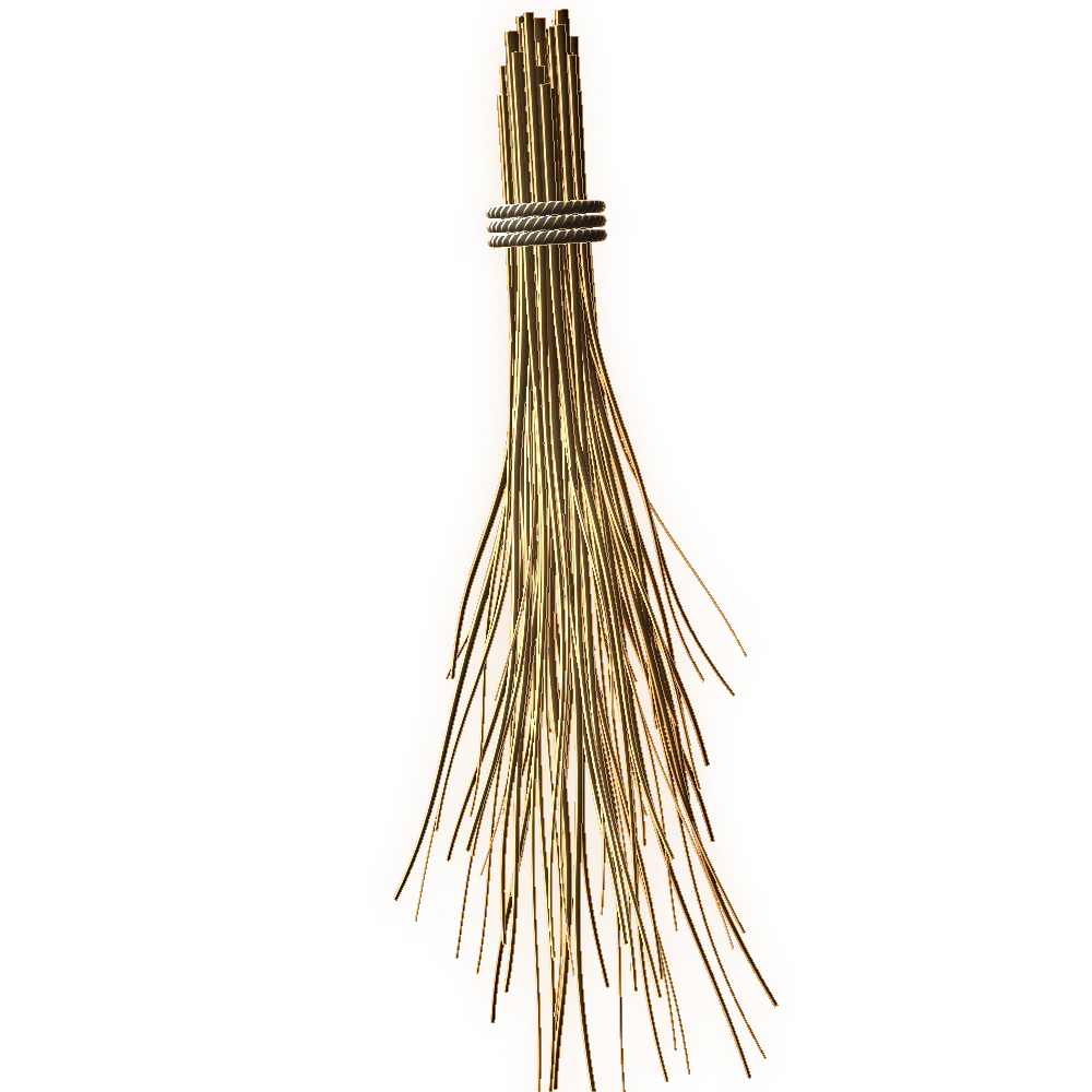 Engraving of vetiver
