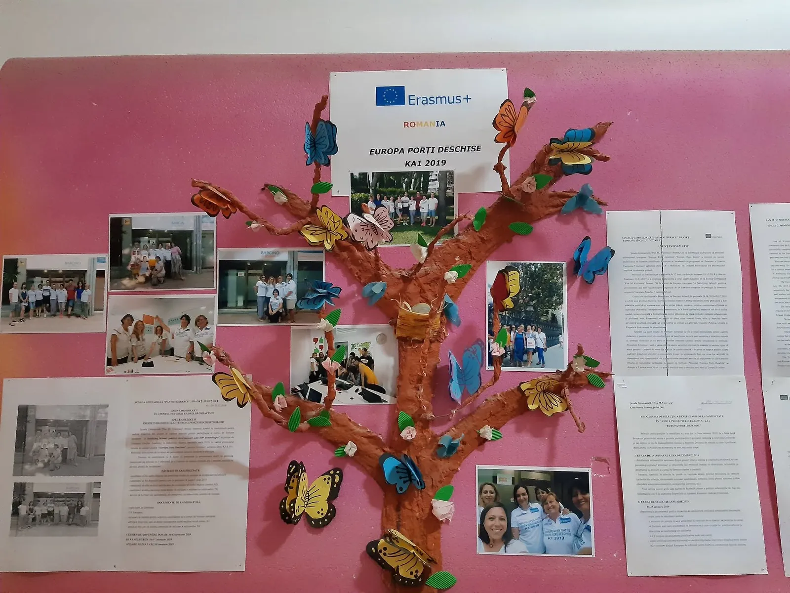 Panoul #ErasmusDays 2019: un copac desenat cu fotografii din mobilitate