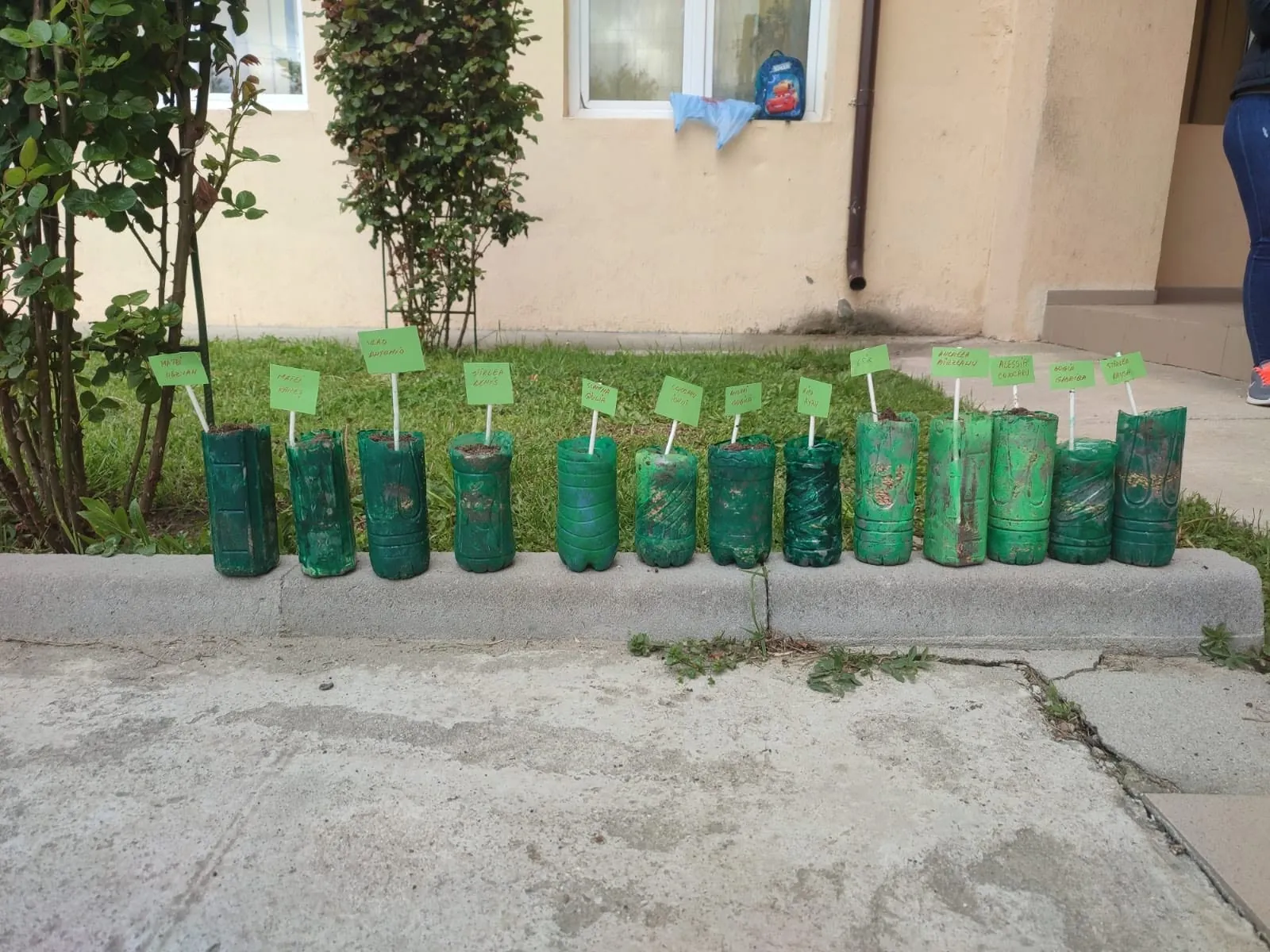 Ghivece din materiale reciclate plantate lângă clădirea școlii