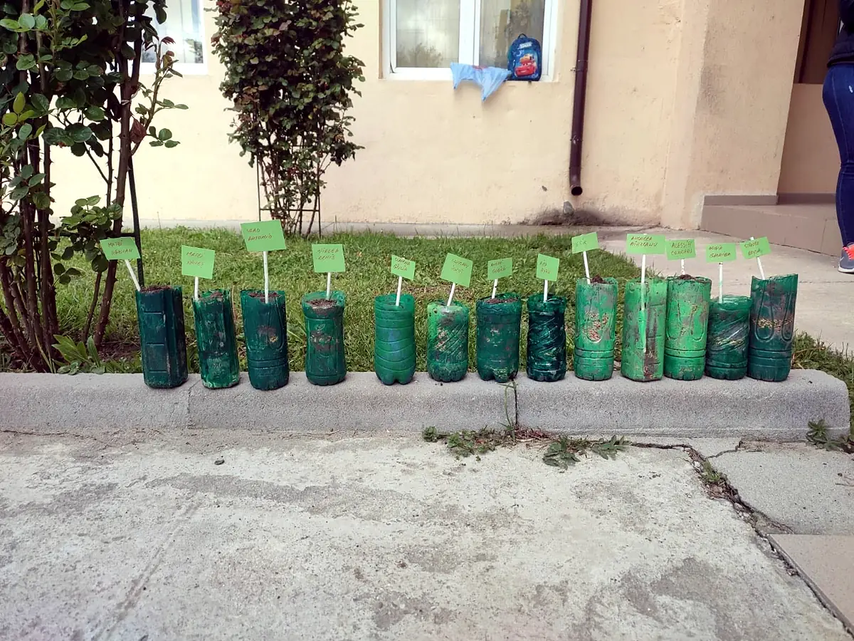 Ghivece din materiale reciclate plantate lângă clădirea școlii