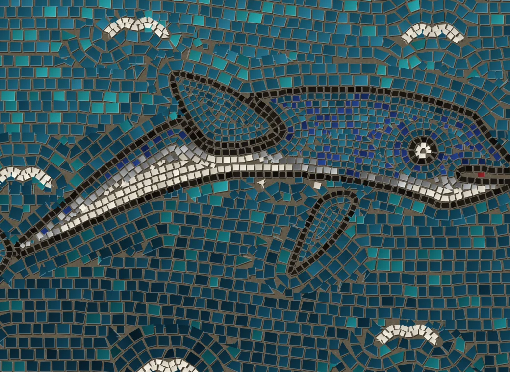 A dolphin: blue back, marble belly