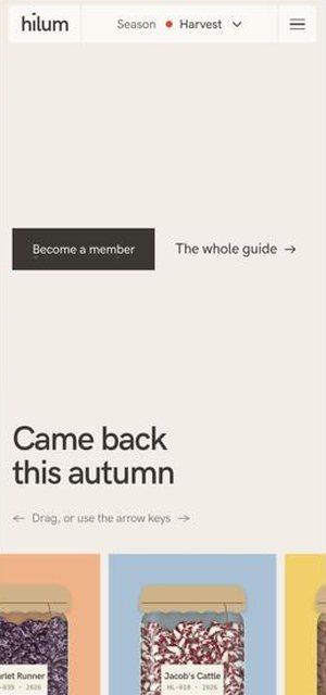 HILUM on a phone, index page