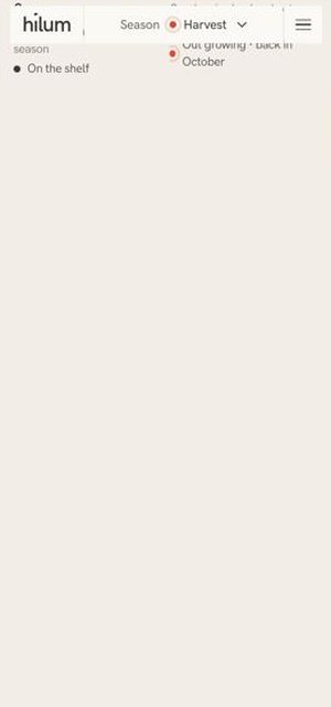 HILUM on a phone, catalogue page