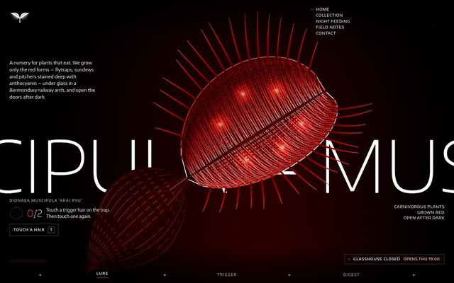 MUSCIPULA: home page