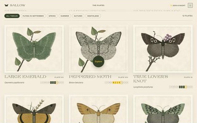 SALLOW, plates page, frame 8