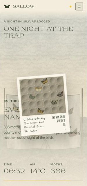 SALLOW on a phone, index page