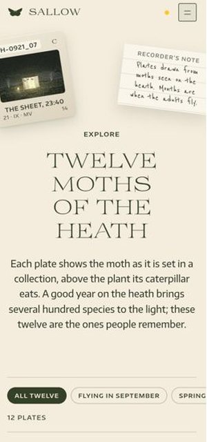 SALLOW on a phone, plates page