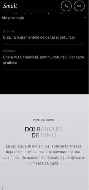 SMALȚ on a phone, cabinet page