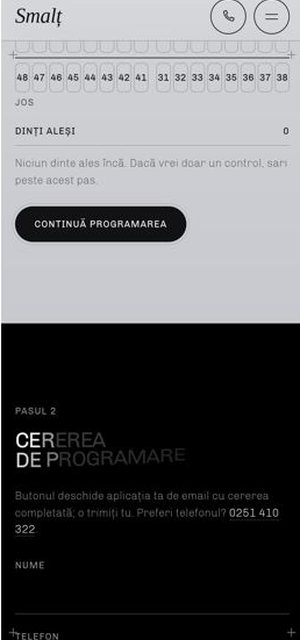 SMALȚ on a phone, programare page