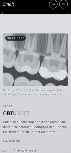 SMALȚ on a phone, tratamente page