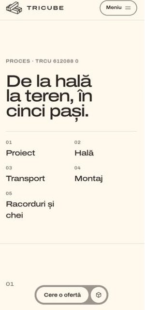 TRICUBE on a phone, proces page