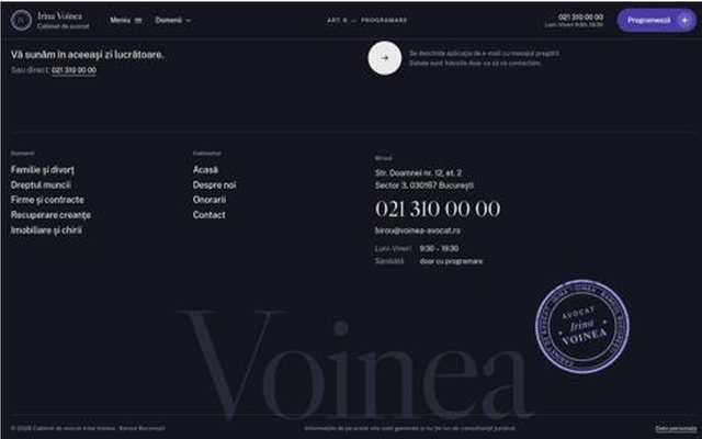 VOINEA: frame 2