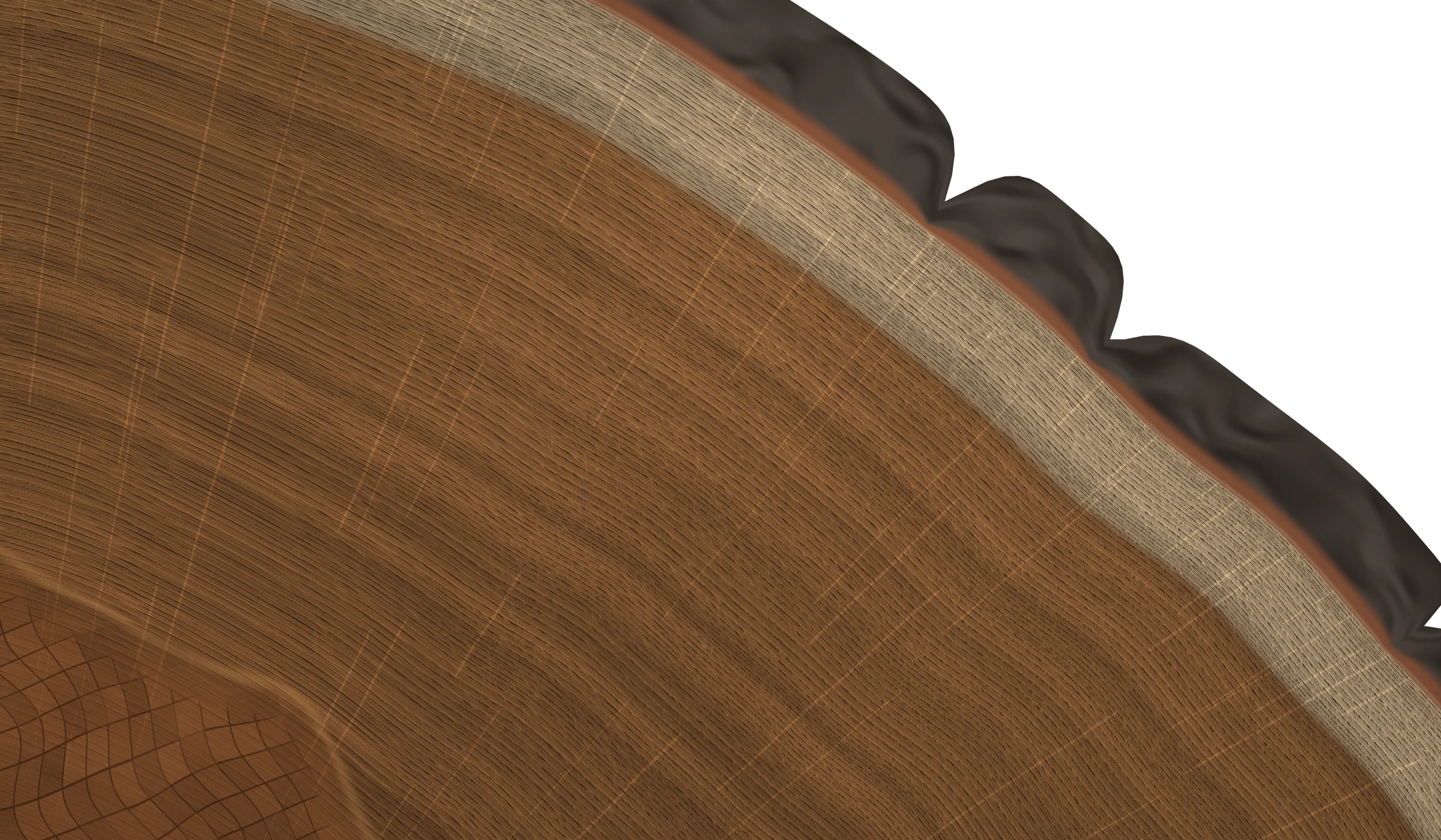 End grain of a 239-ring oak: pale sapwood, brown heartwood and silver rays, with the bark along the top edge.