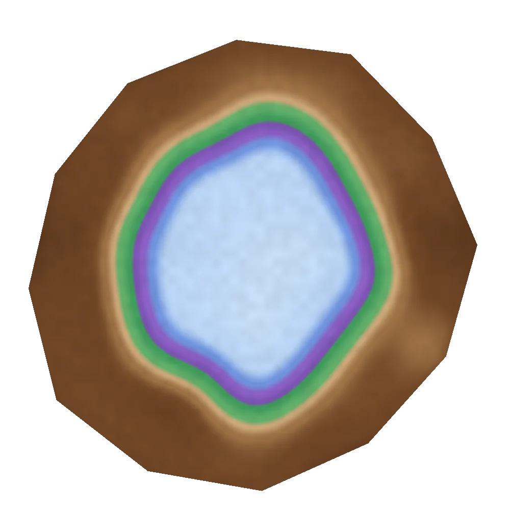 Tomogram of the school oak: brown sound wall around a violet and blue decayed core.