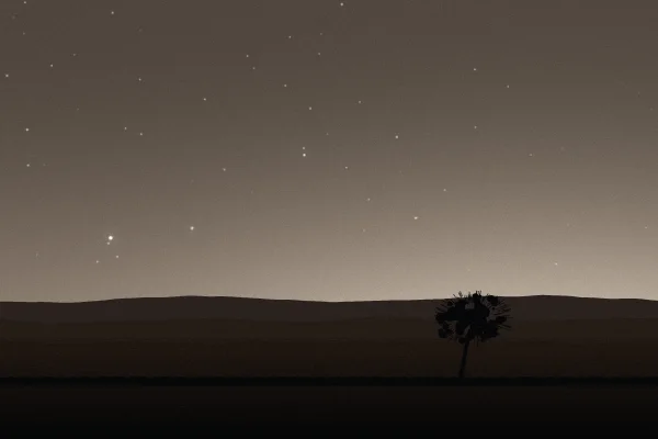 Bortle class 8 sky over the same field