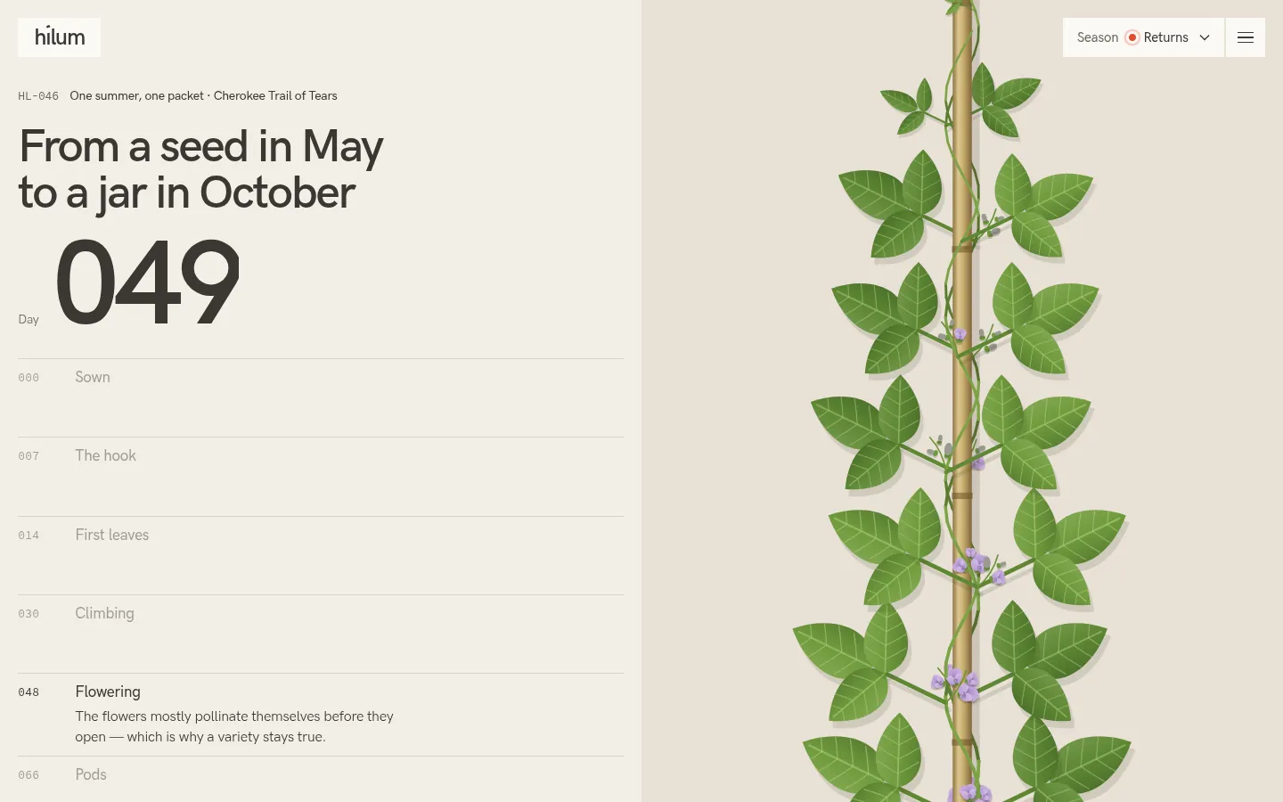 HILUM: a screen further down the page