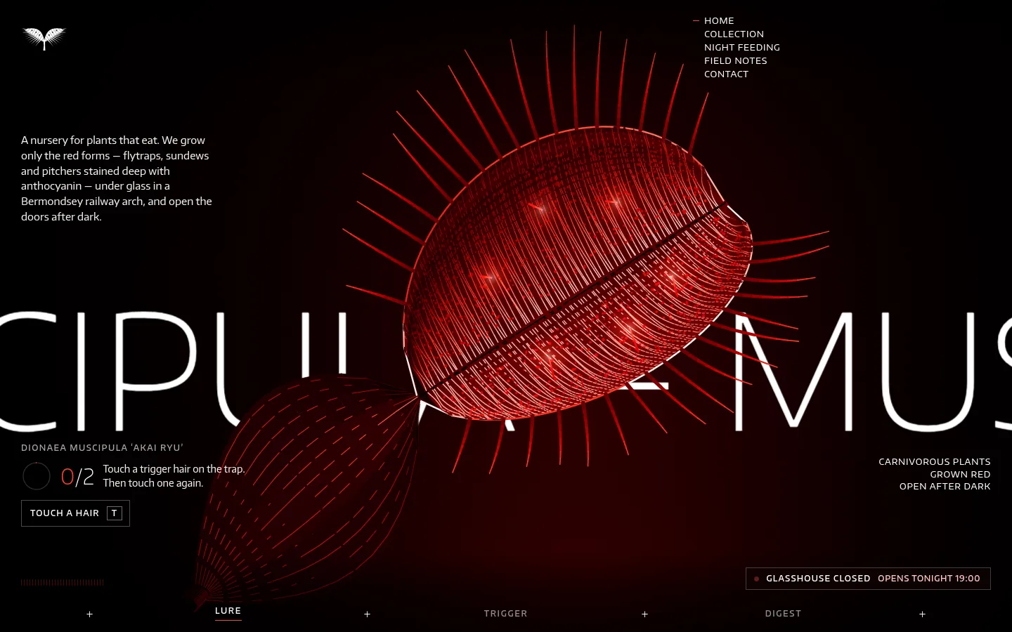 MUSCIPULA: the first screen
