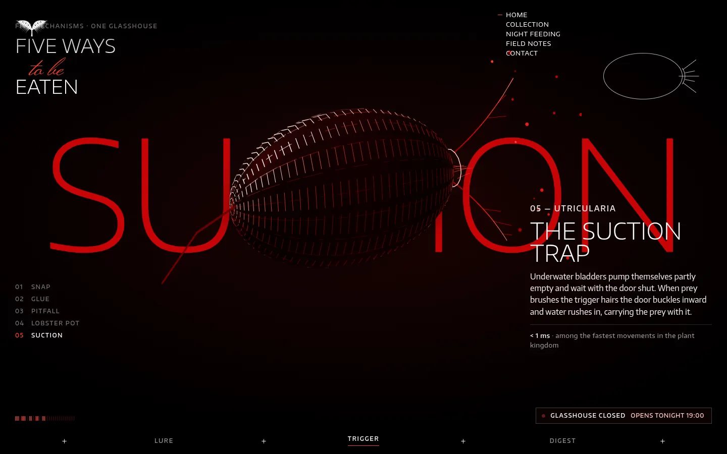 MUSCIPULA: a screen further down the page