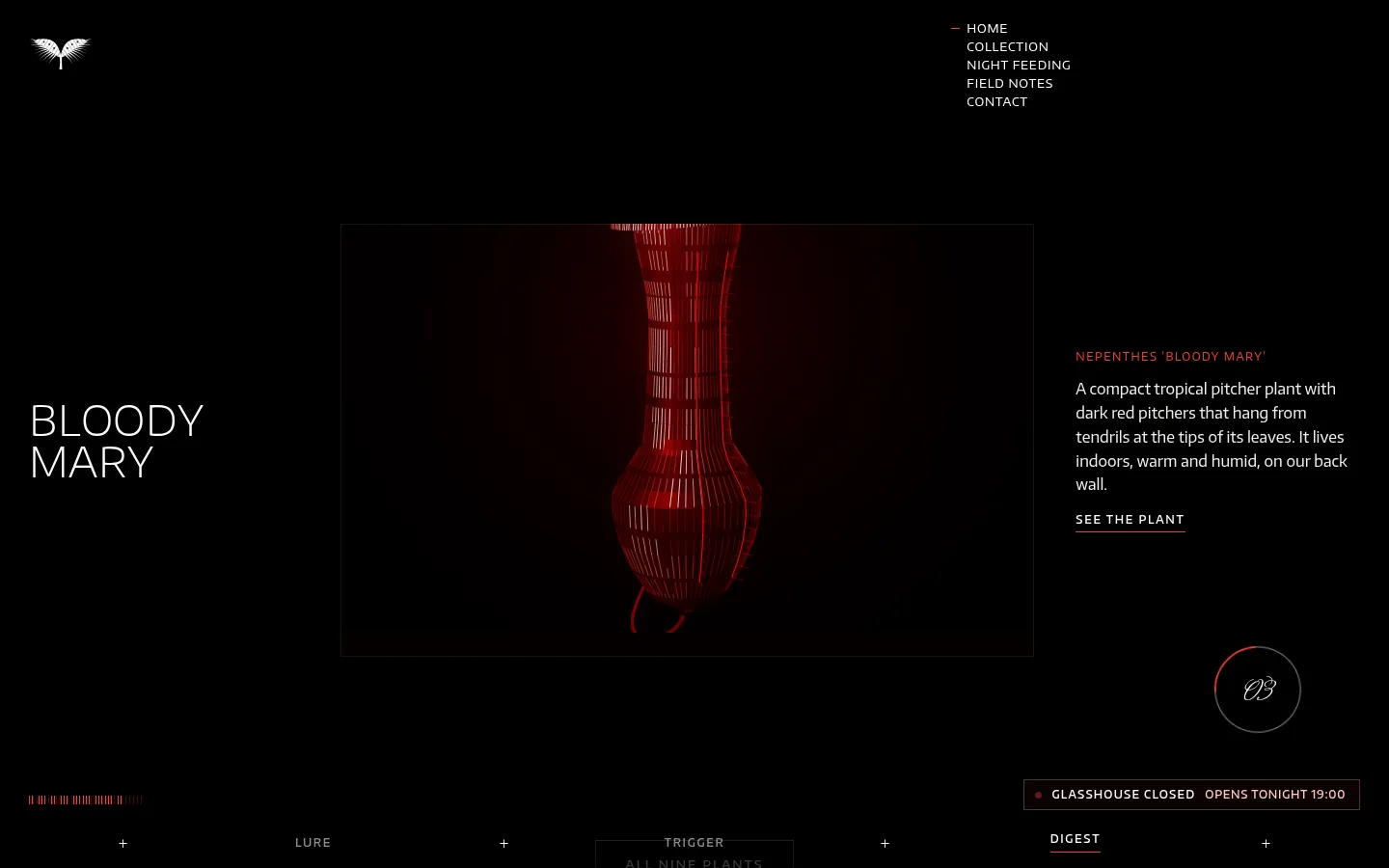 MUSCIPULA: a screen further down the page