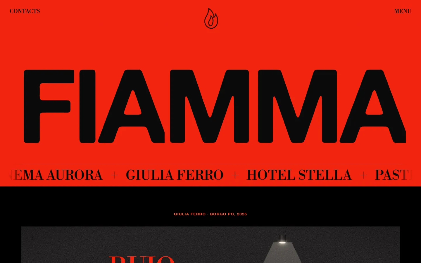 FIAMMA: a screen further down the page