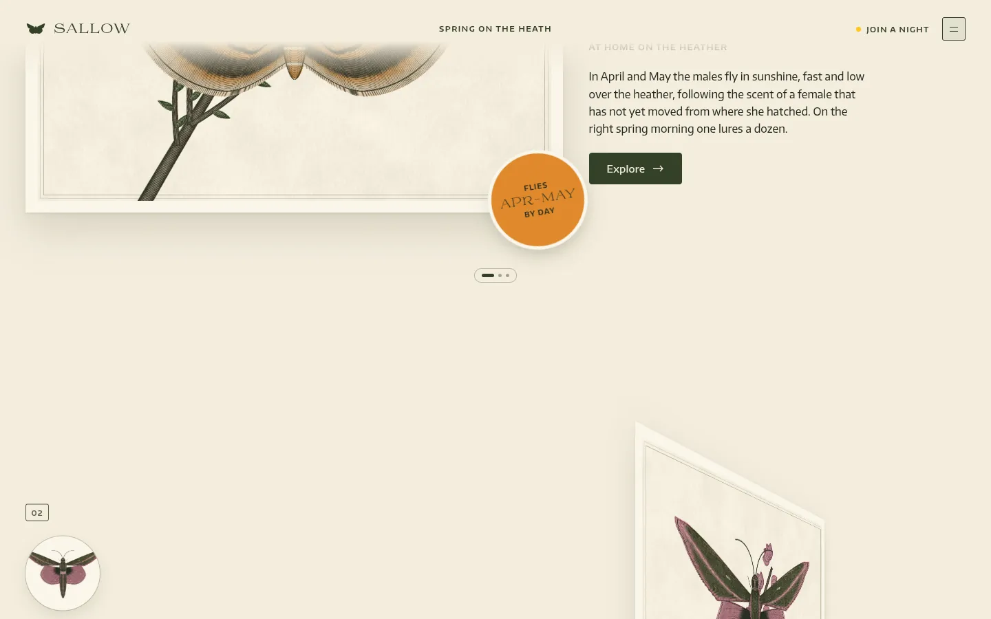 SALLOW: a screen further down the page