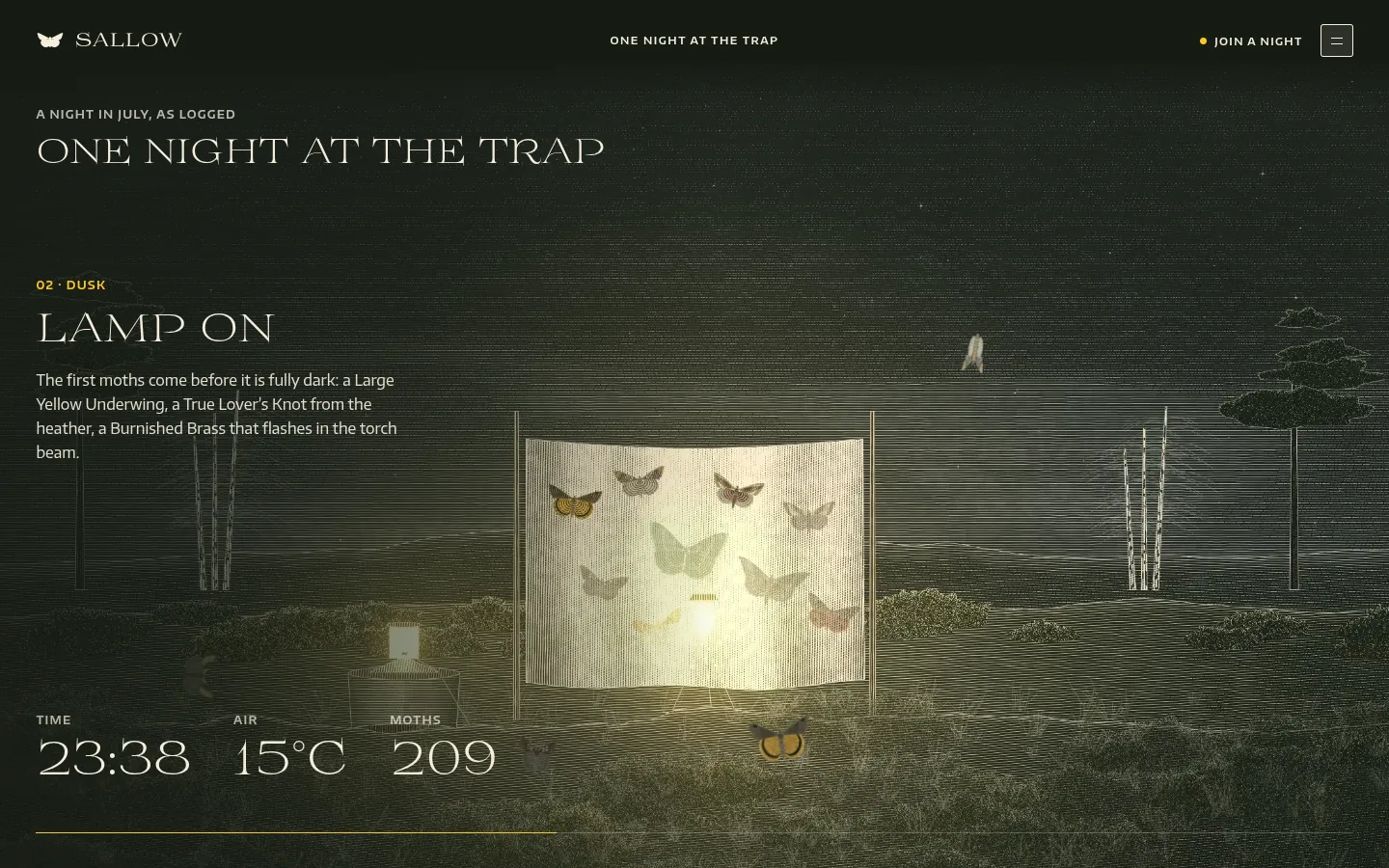 SALLOW: a screen further down the page