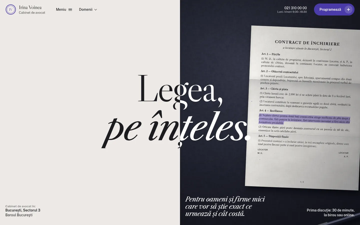 VOINEA: the first screen