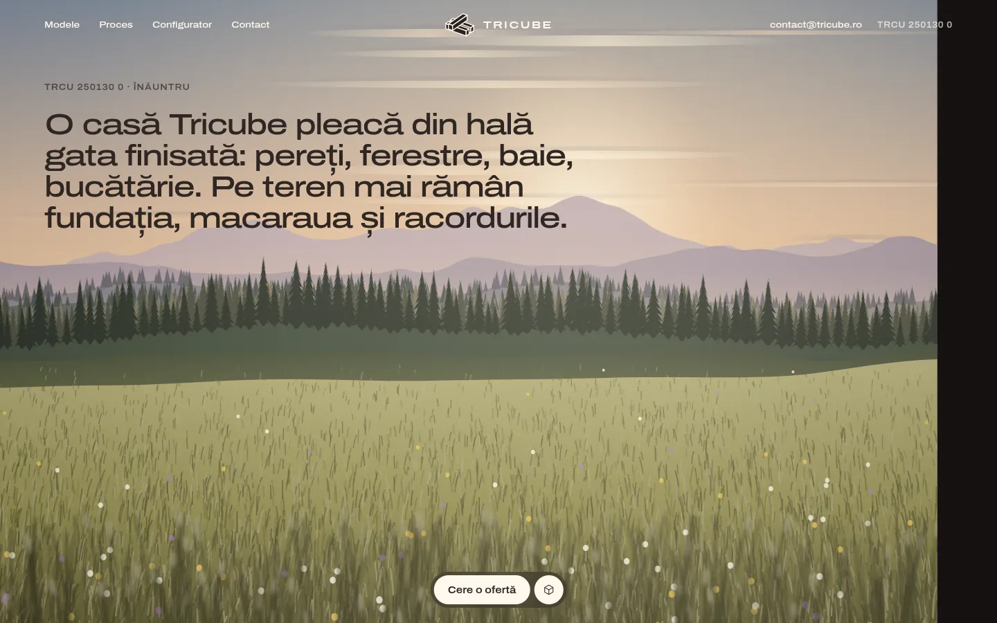 TRICUBE: a screen further down the page