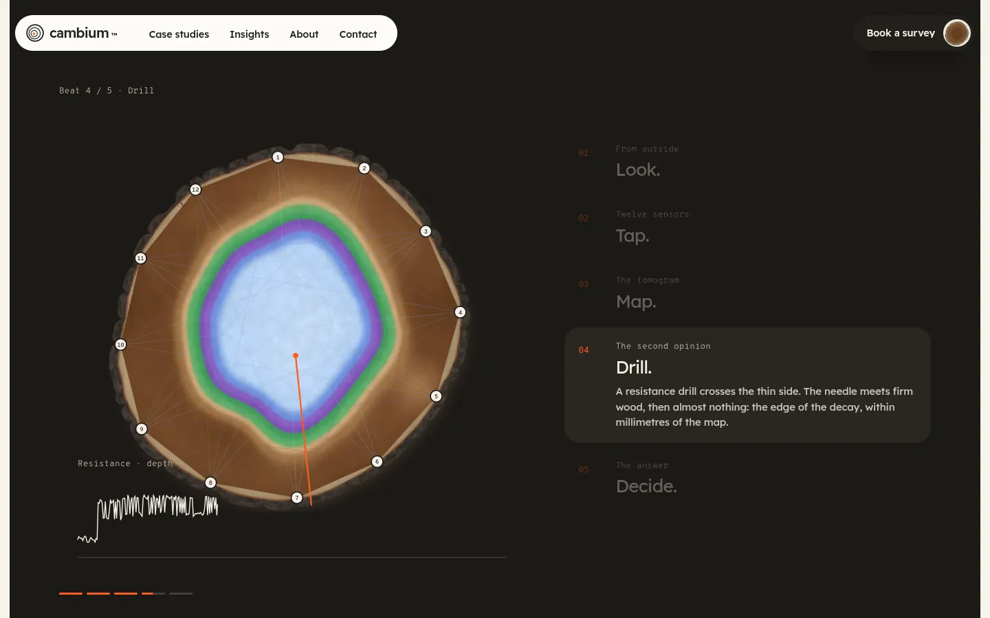 CAMBIUM: a screen further down the page